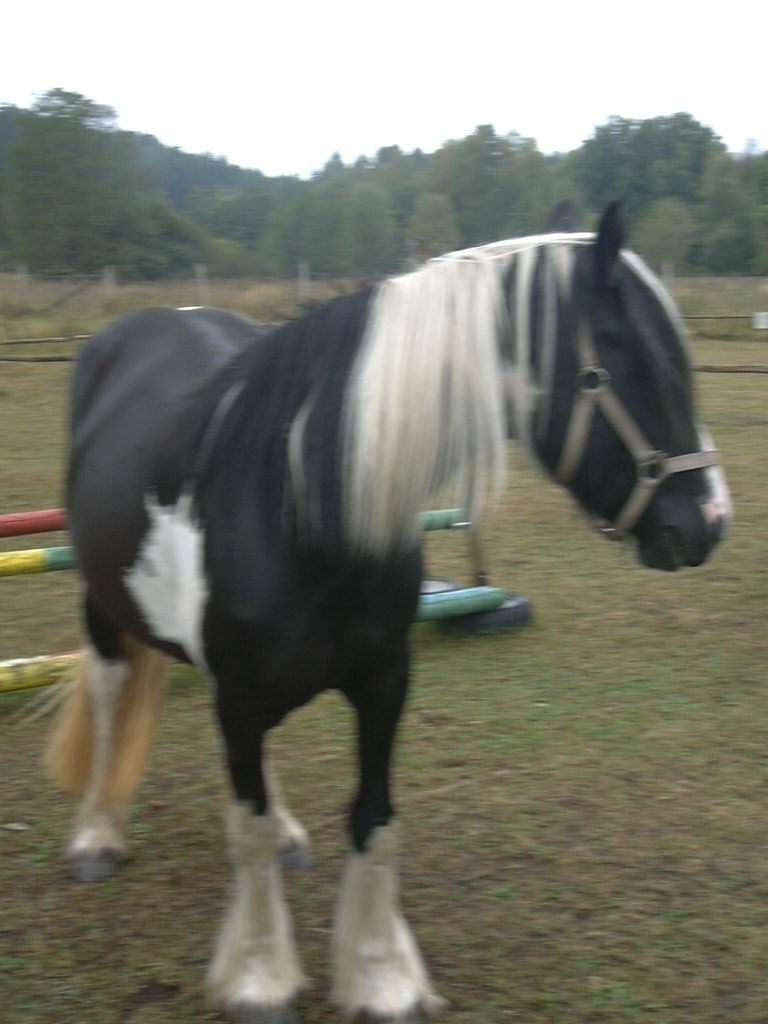 Lady 03.JPG