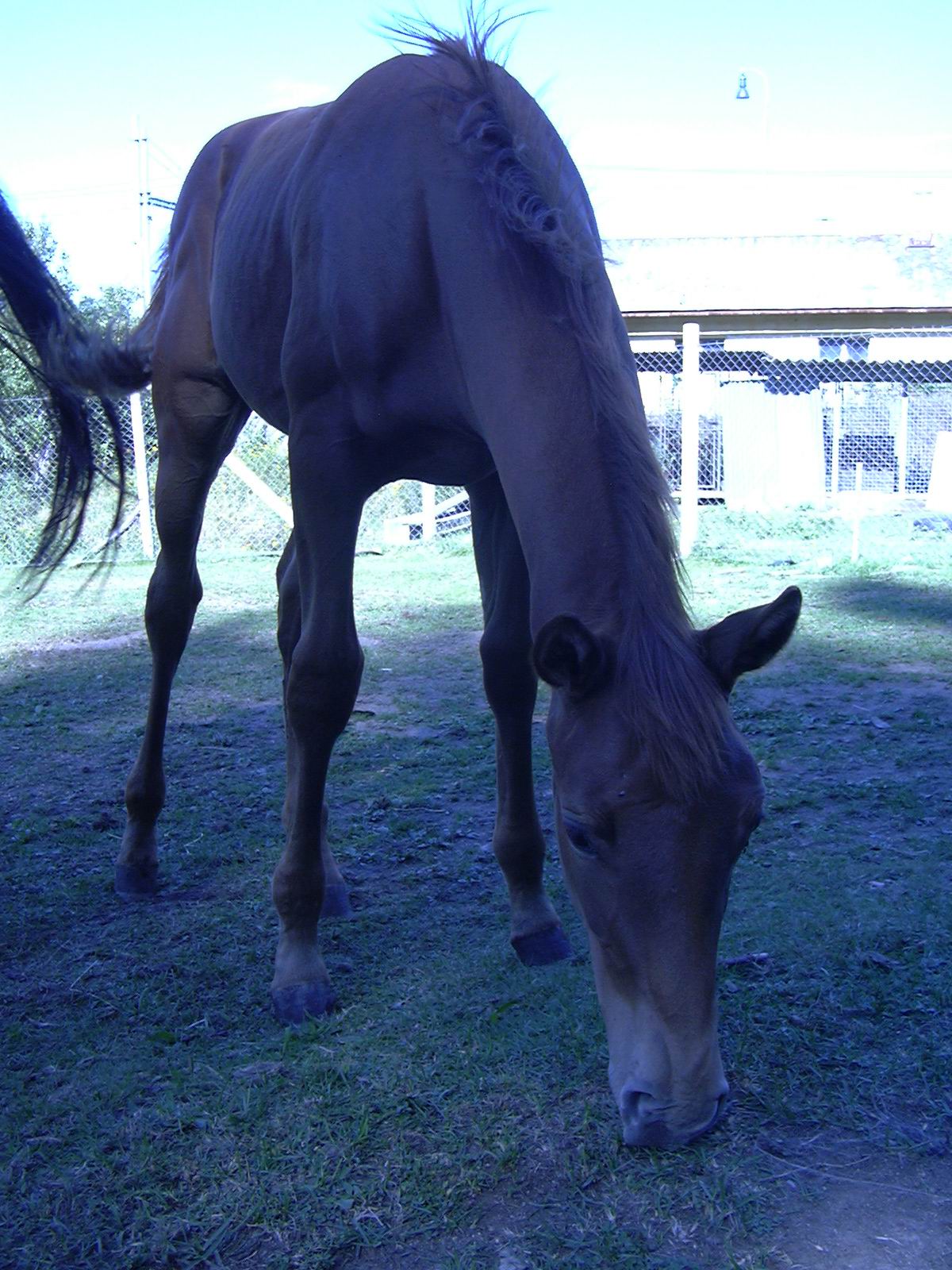 P1000144.JPG