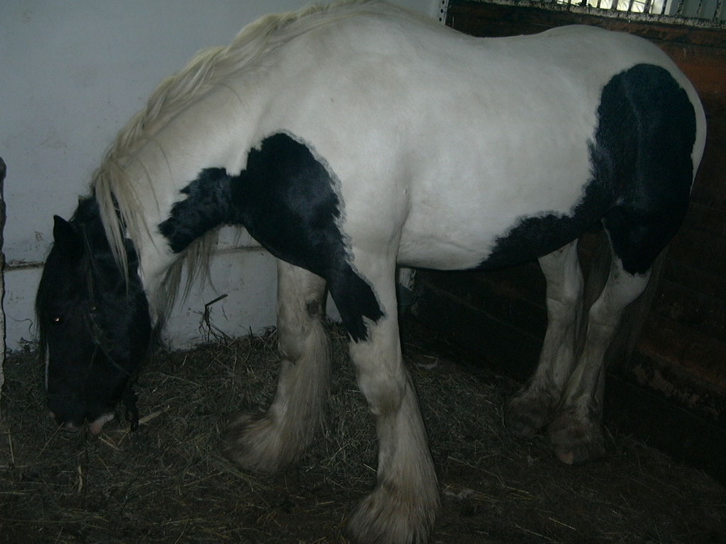 P1000683.JPG