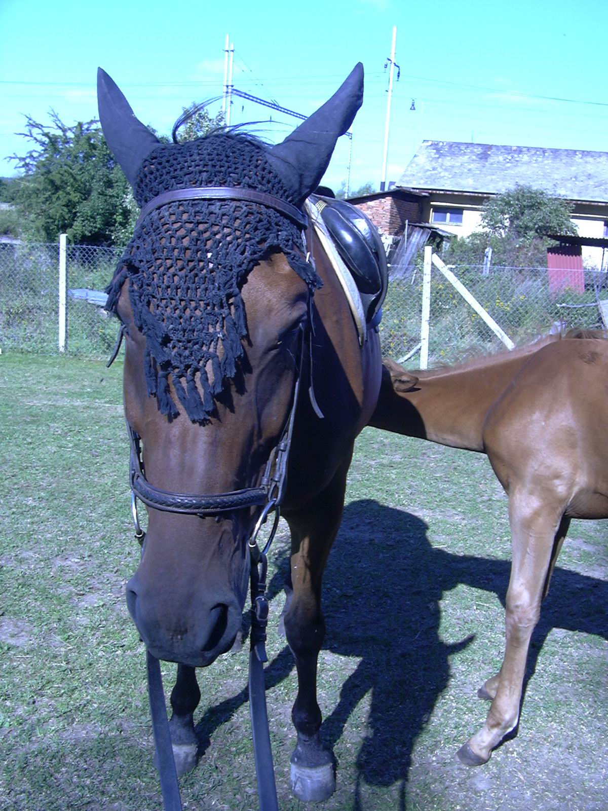 P1000139.JPG